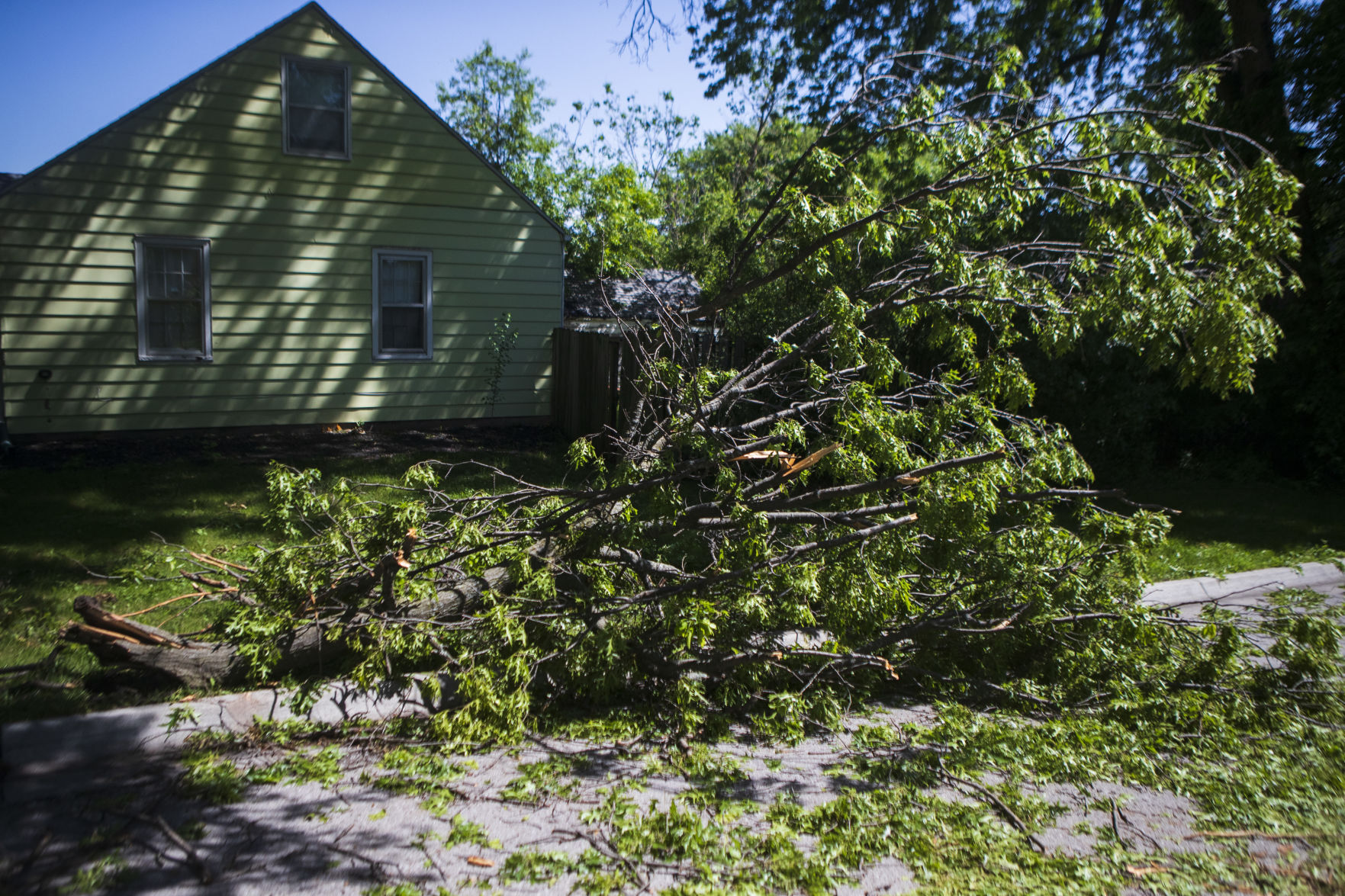 Storm Damage